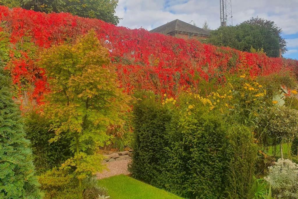 Clairville : Georgian Suite - Central Ross-On-Wye 外观 照片